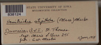 Image Associated With the Occurence